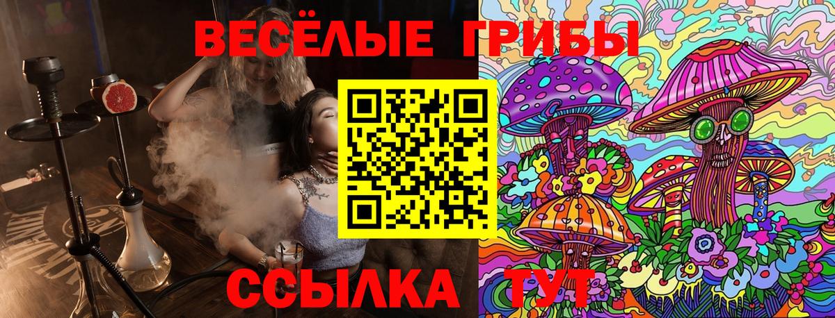 купить закладку  Вход с VPN  Отрадный  Псилоцибиновые грибы MAGIC MUSHROOMS 
